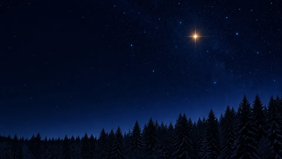 Sternenhimmel über einer dunklen Baumlinie, rechts oben ein heller, warm leuchtender Stern.